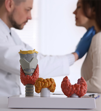Endocrinology & Diabetogy